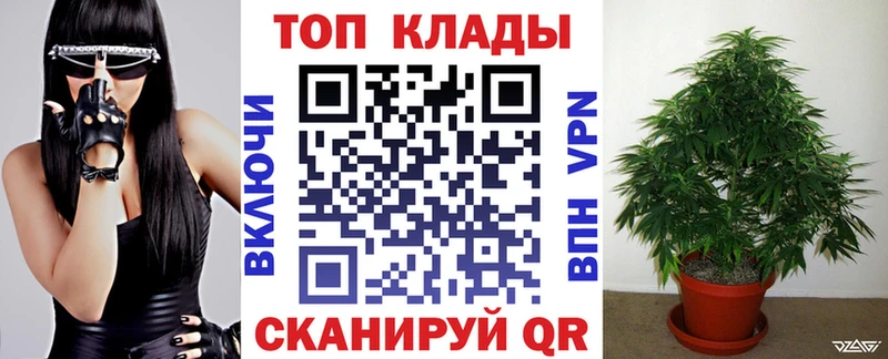 Канабис Каспийск
