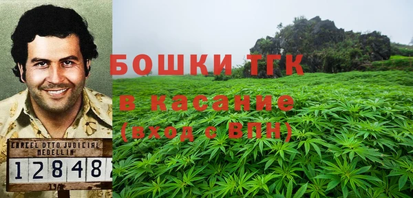 крисы Балахна