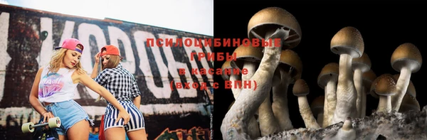 крисы Балахна