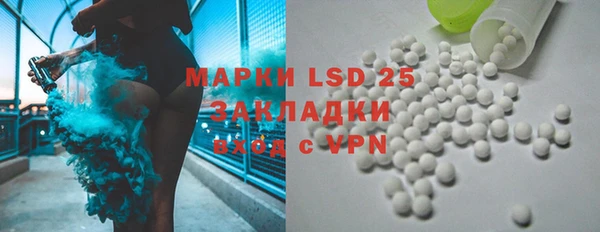 прущие грибы Балабаново