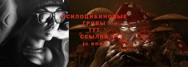 крисы Балахна