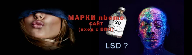 прущие грибы Балабаново