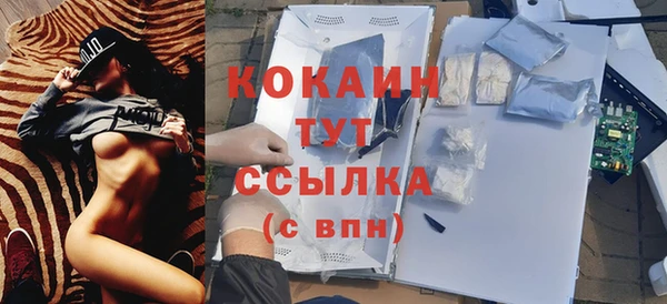 крисы Балахна