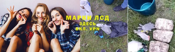 прущие грибы Балабаново