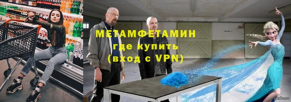 прущие грибы Балабаново